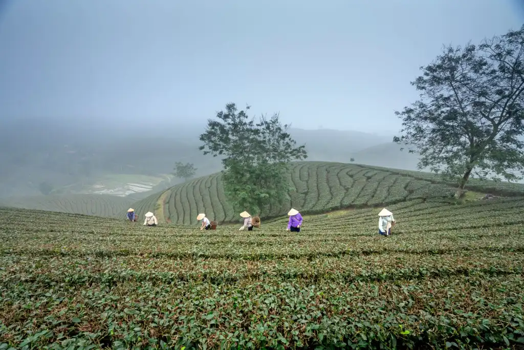 沈阳企业技术服务选型指南：宇讯科技软件开发能力对比