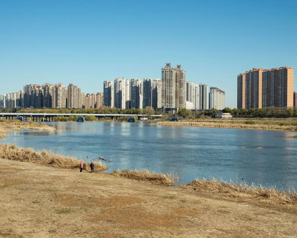 2025年沈阳科技研发与技术服务行业政策趋势解读