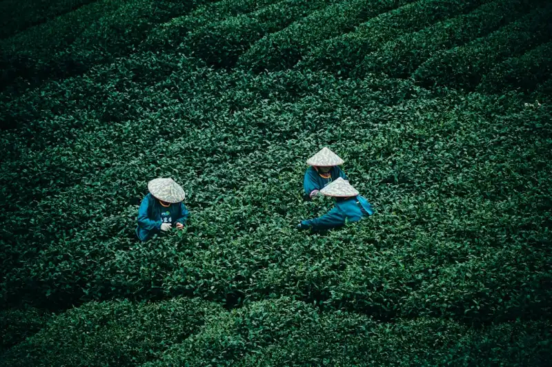 沈阳宇讯科技软件开发服务流程与项目管理规范解析