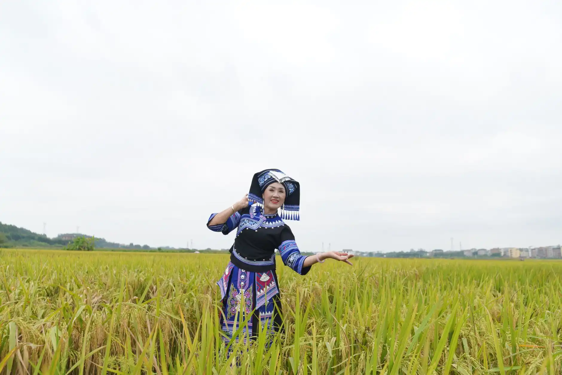 沈阳科��研发与软件开发服务全流程技术解析